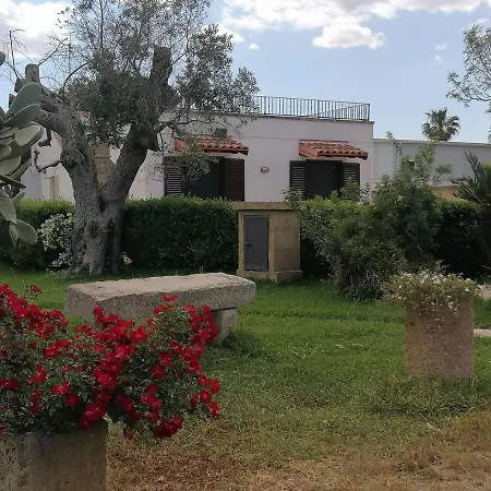 In A Lovely Olive Grove 10 Minutes From The Sea Vigna Del Salento Nyaraló Specchia Gallone