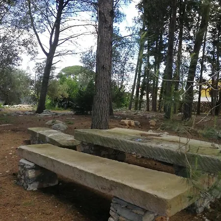 In A Lovely Olive Grove 10 Minutes From The Sea Vigna Del Salento * Specchia Gallone